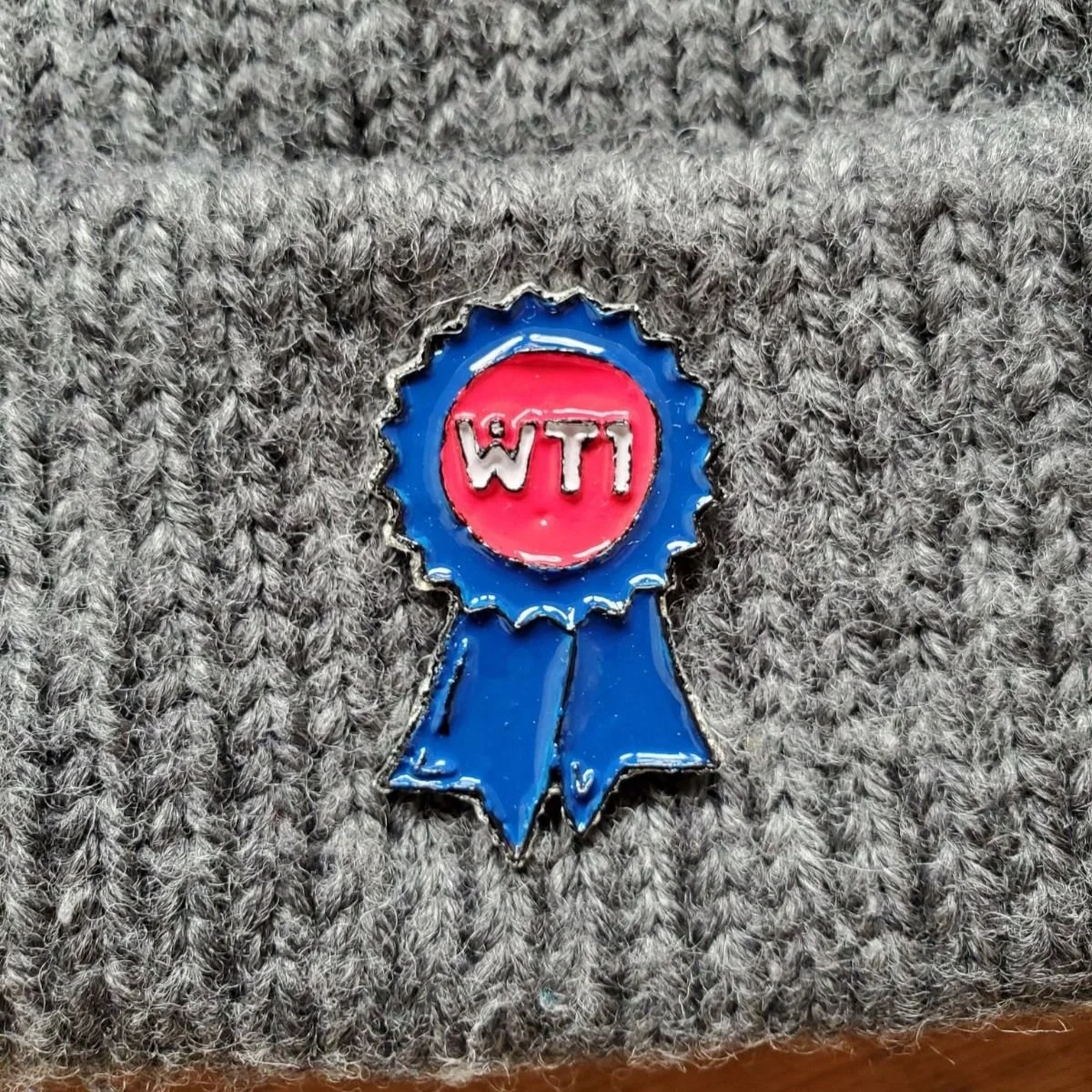 WT1 pin photograph